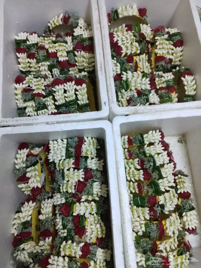 فل ورد طبيعي 0