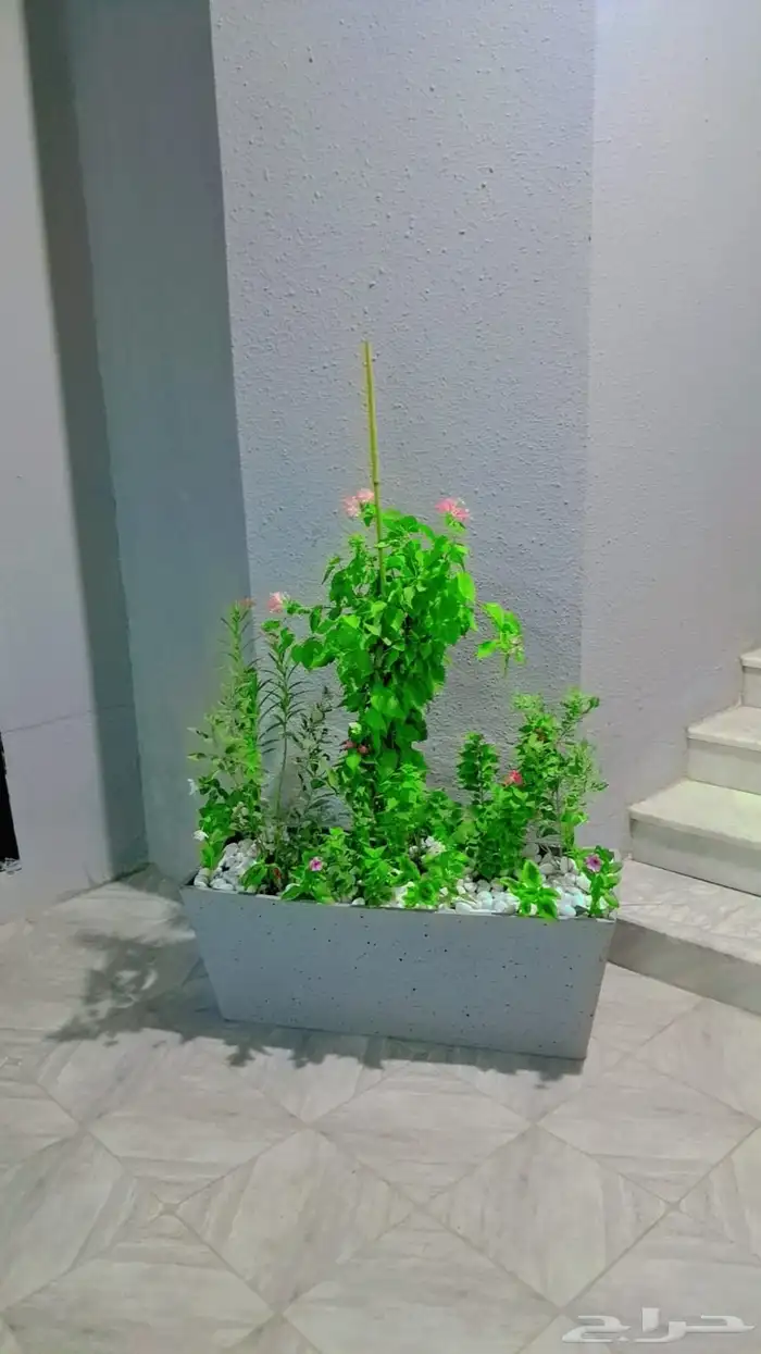 منسق حديق وتركيب جميع شبكات الري العادي والاتمتك 7