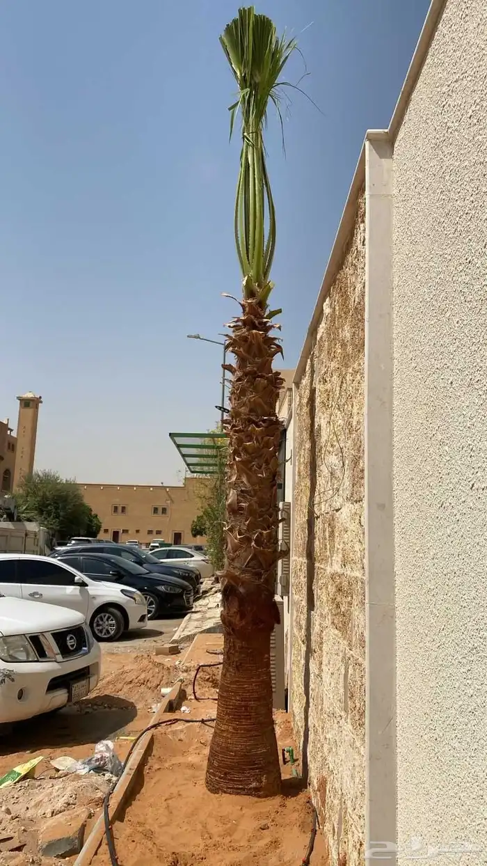 تخيل لبيع 0