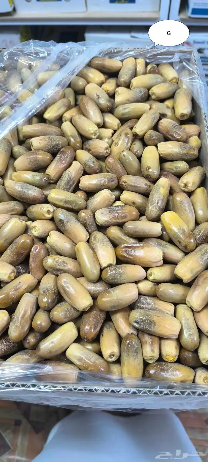 تمر بياض نجران 3