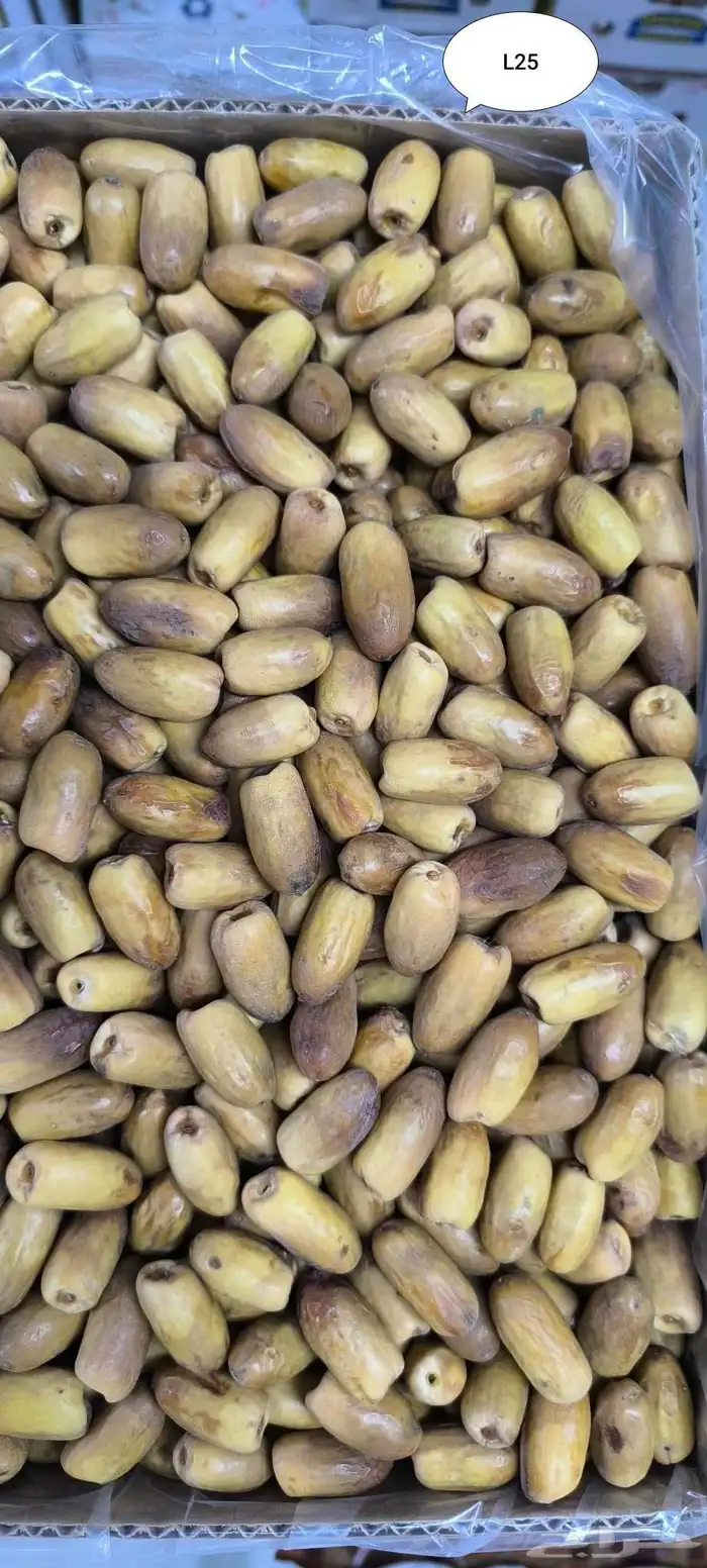 تمر بياض نجران 0