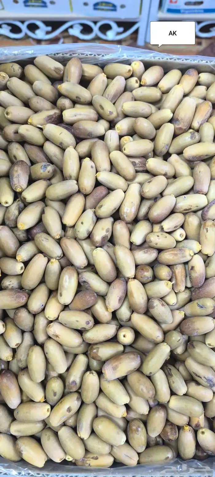تمر بياض نجران 5