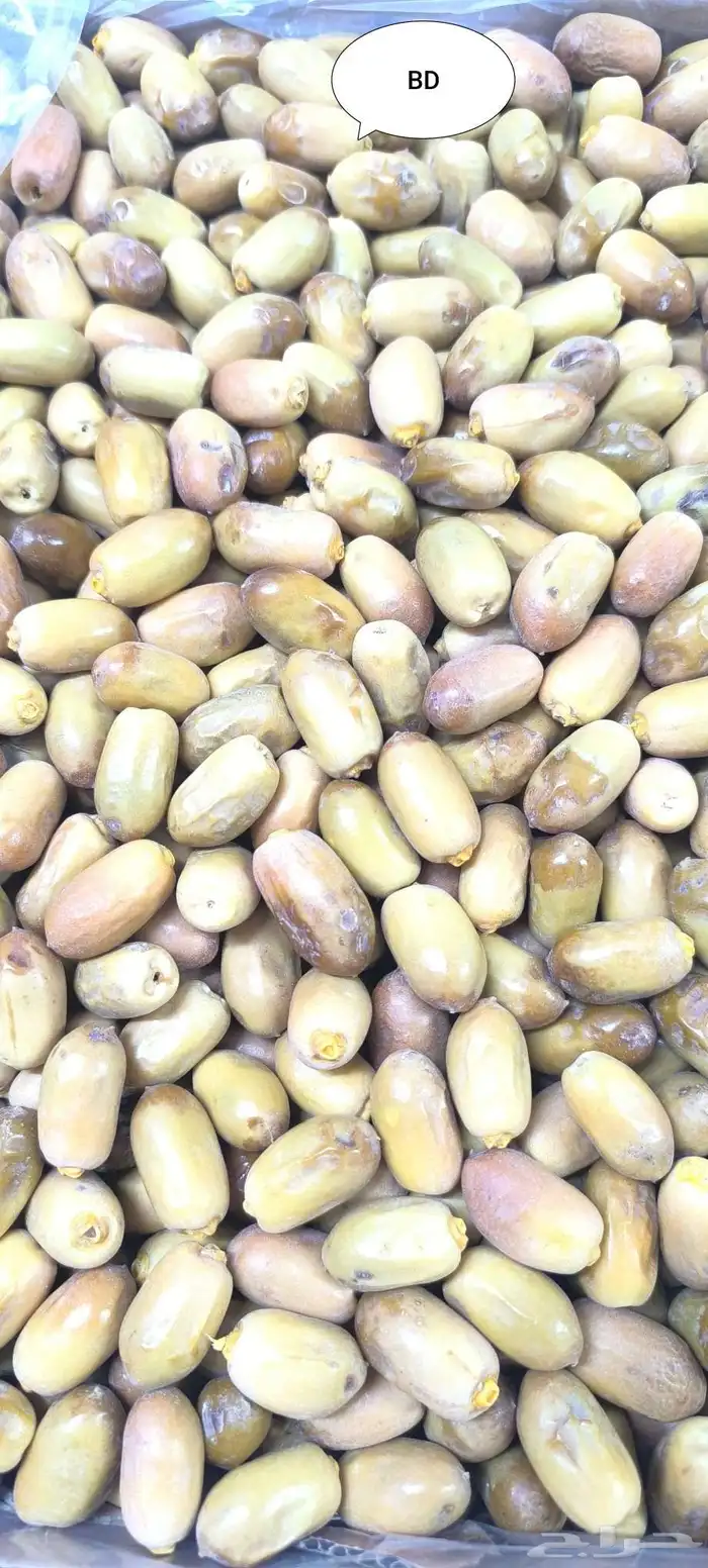 تمر بياض نجران 6
