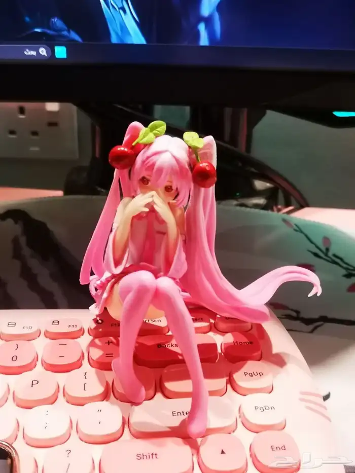 فيقر وردي للبيع 3