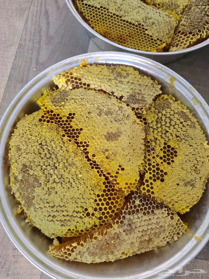 عسل قرض مع السدر 2