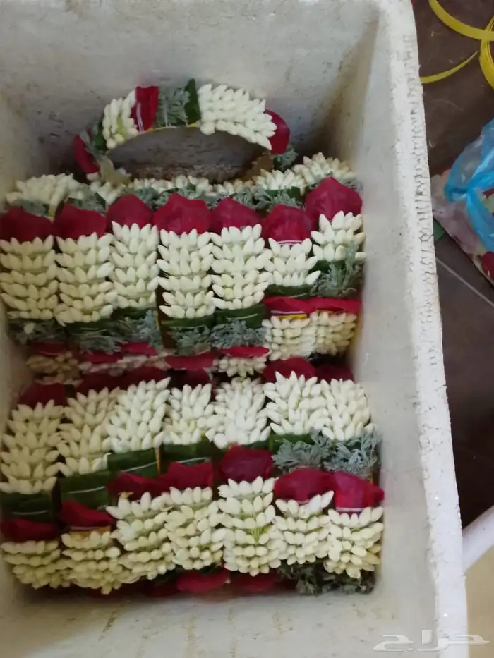 فل ورد طبيعي 1