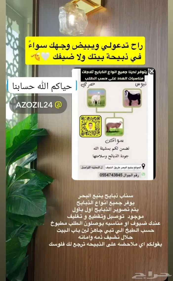 سواكن حري رفيدي تيوس مع التقطيع والتوصيل 1