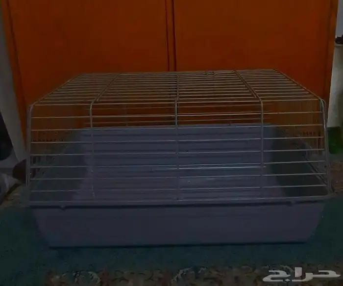 مستلزمات طيور زينة 4