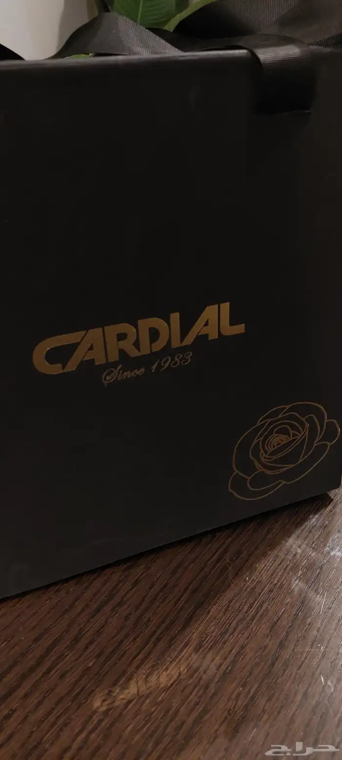 cardial watch bag كارديال 6