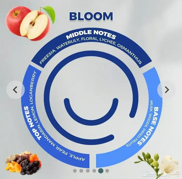 زيوت عطرية للفواحات سميل سمايل 480 مل 1