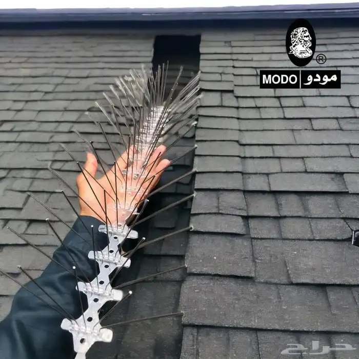 شركه تركيب اشواك طارد الحمام بالمنطقة الشرقية 10