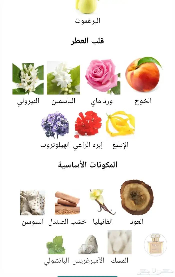 عطر روجا انيجما عود الاصدار القديم 4