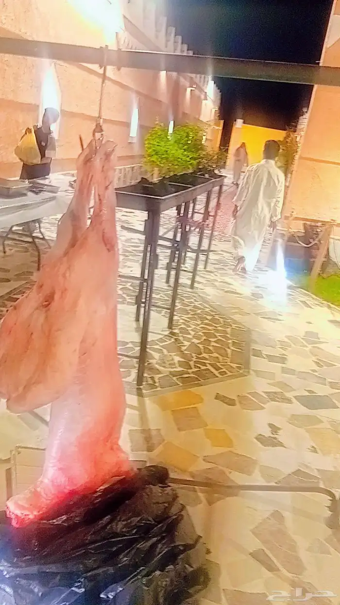 معلم شوي خارجي 1