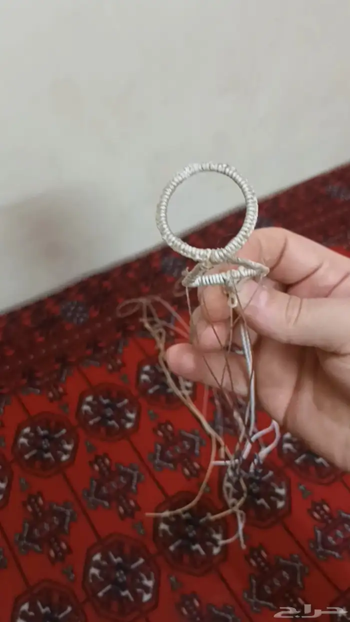 شبك جربوع السعر تفريد 50 ريال وجمله 30 ريال 13