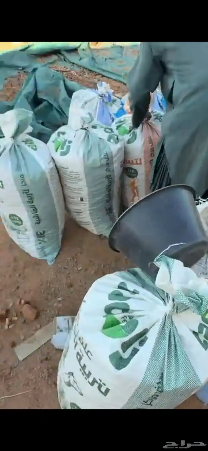 تمر علف ناشف 2