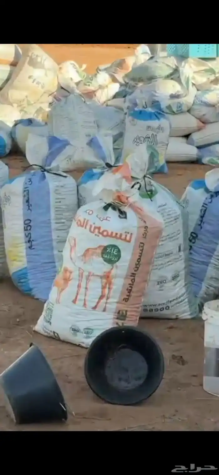 تمر علف ناشف 4