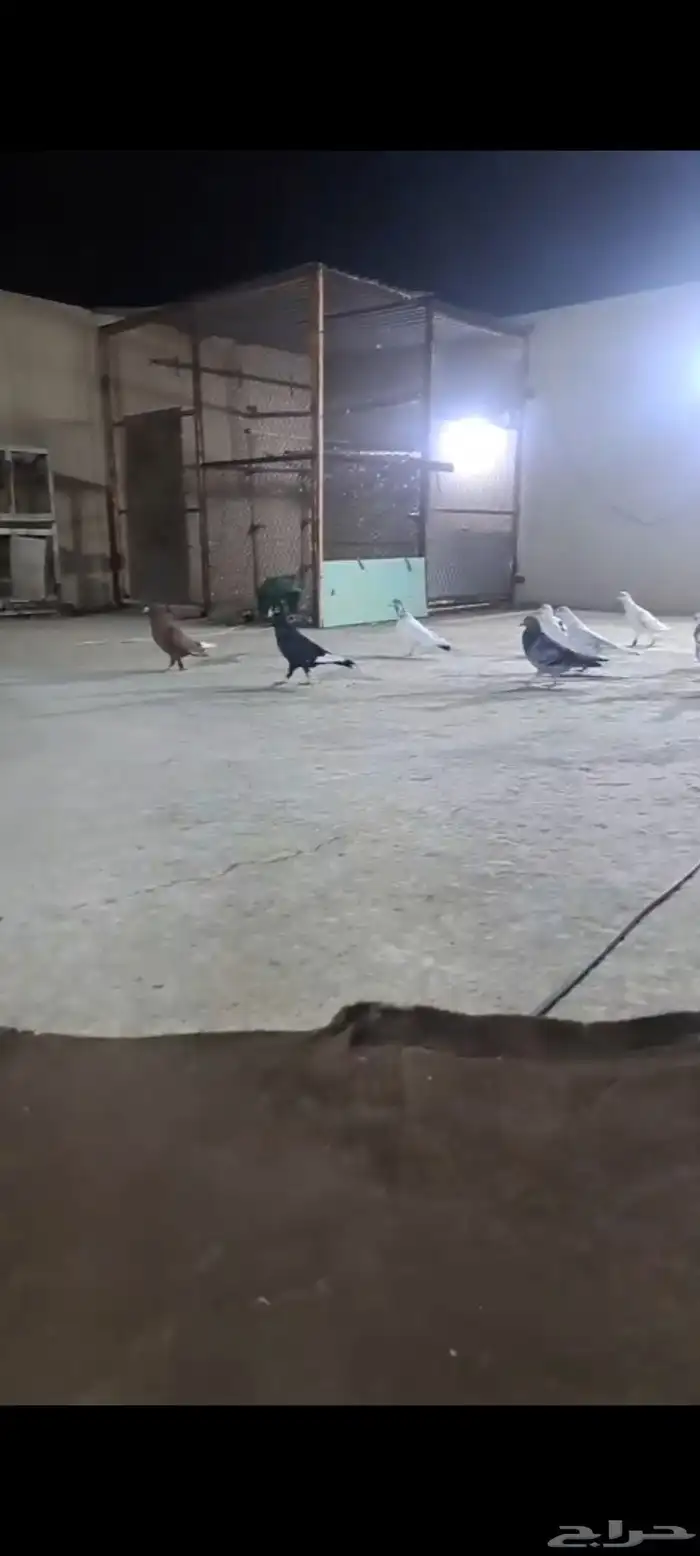 حمام سوري لبيع 1
