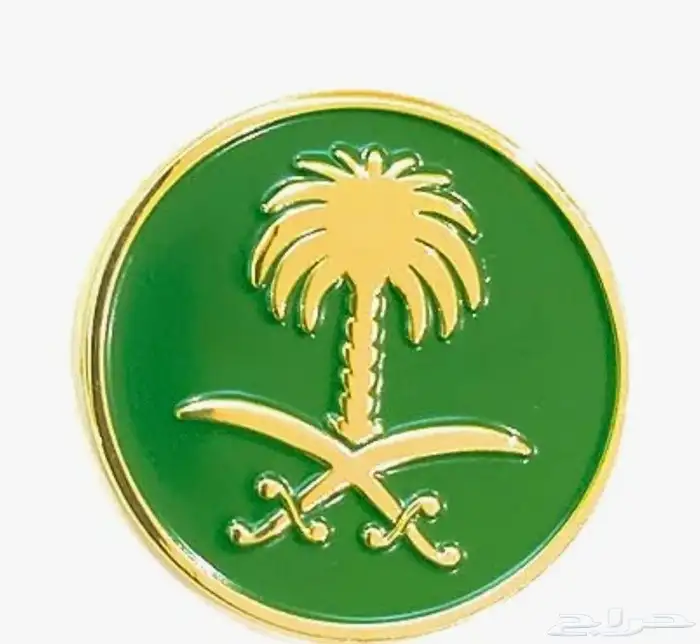 معلمة لكل المراحل الدراسية.. ممتازة في اللغة الانجليزية 0