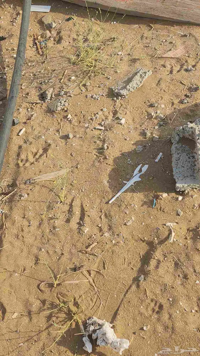 صندوق ونيت الف 2009 8