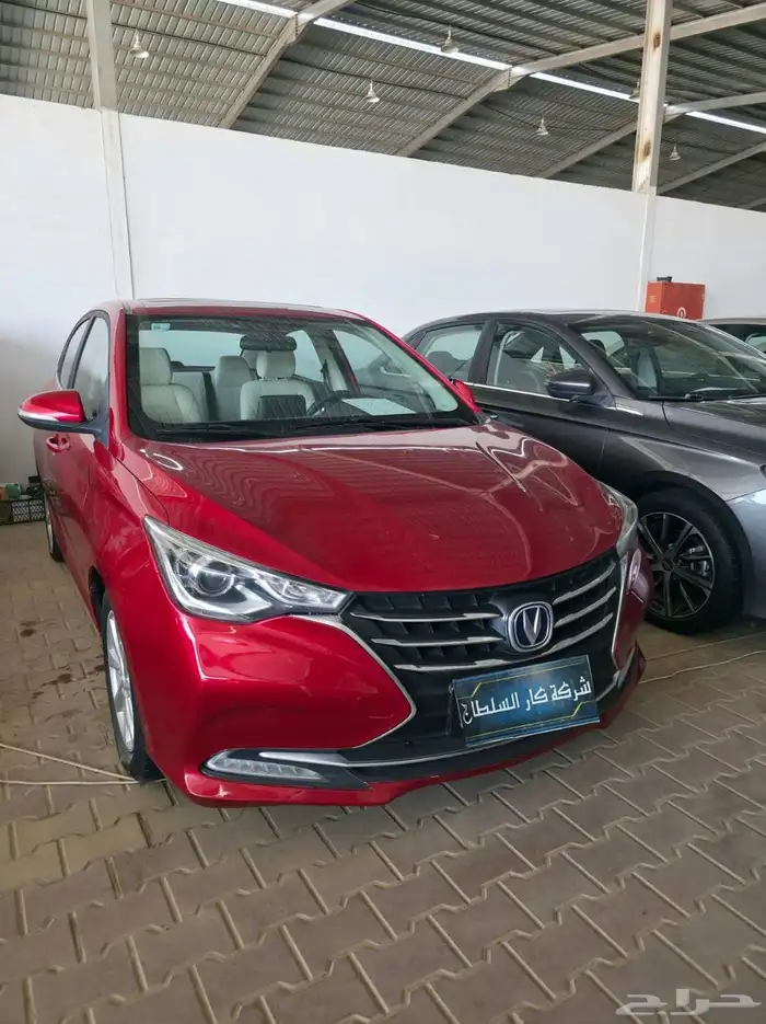 شانجان - السفن - مديلات 2022 2023 2025 2