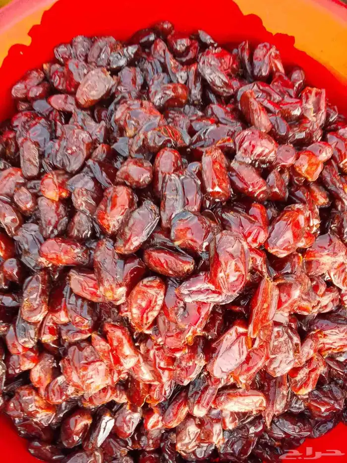 تمور حائل الفاخره 1