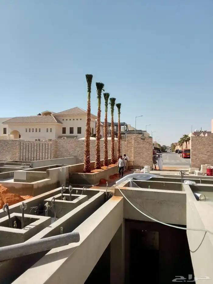 شبوك مزارع ونخيل وزيتون 9
