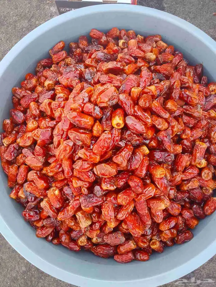 تمور حائل الفاخره 8
