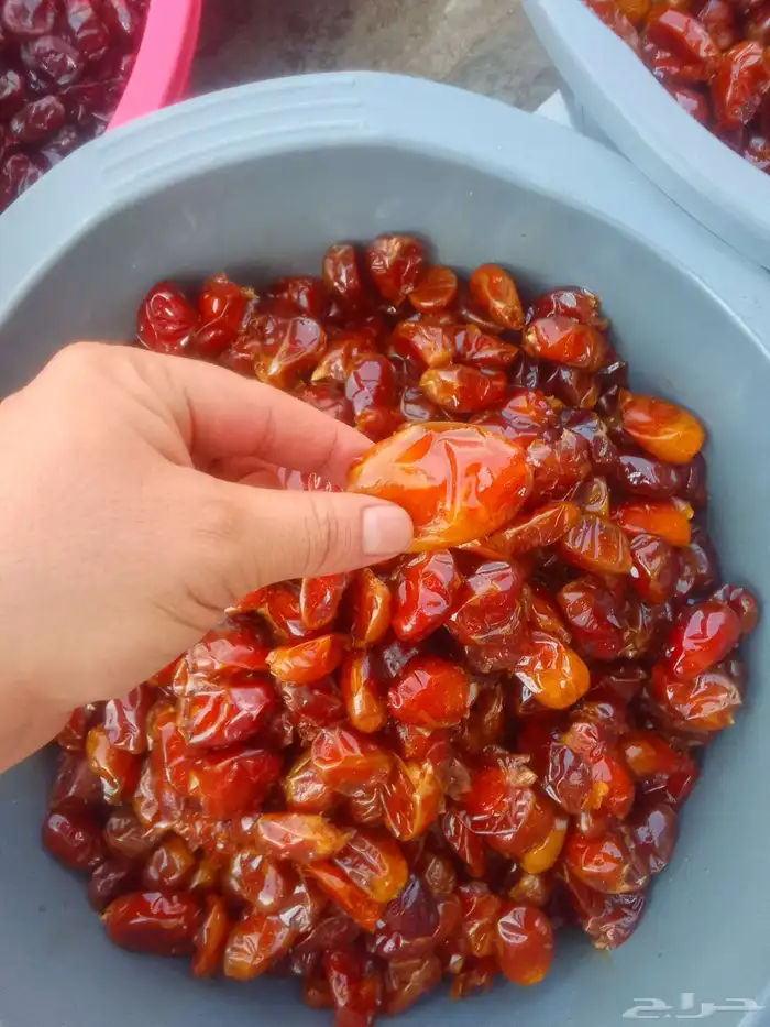 تمور حائل الفاخره 3
