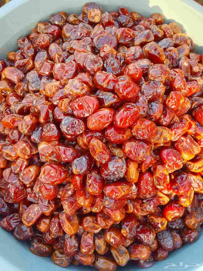 تمور حائل الفاخره 0
