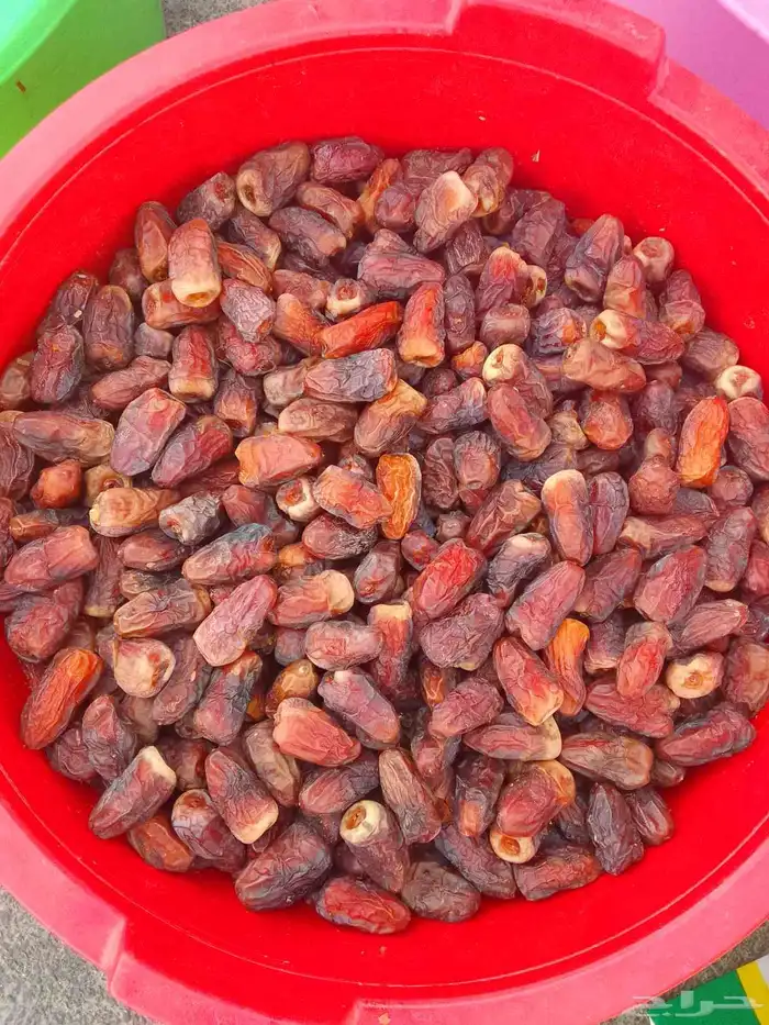 تمور حائل الفاخره 6