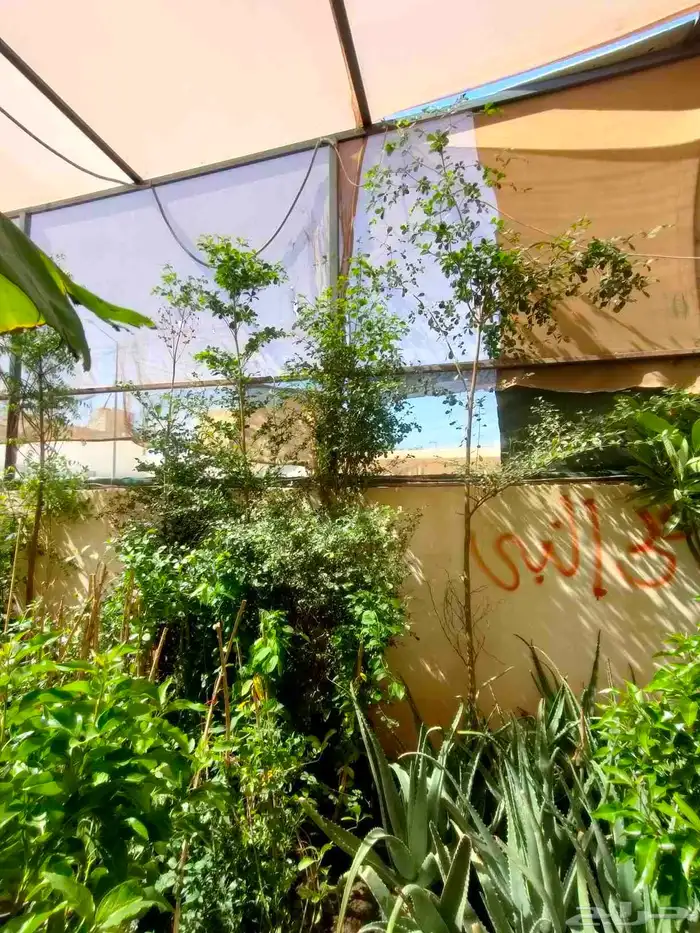 تنسيق حدائق زراعيه 2