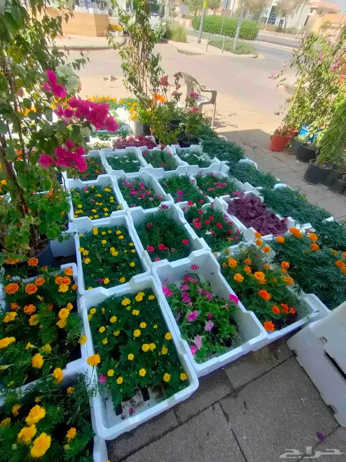 تنسيق حدائق زراعيه 4