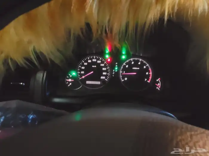 برادو 6