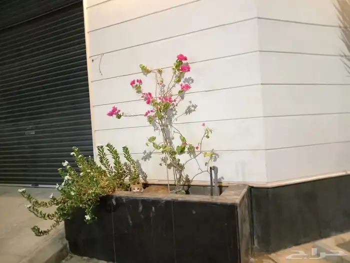 احواض زراعيه احواض طبيعي وصناعي مع التايل نجيله طبيعيه وصناع 4