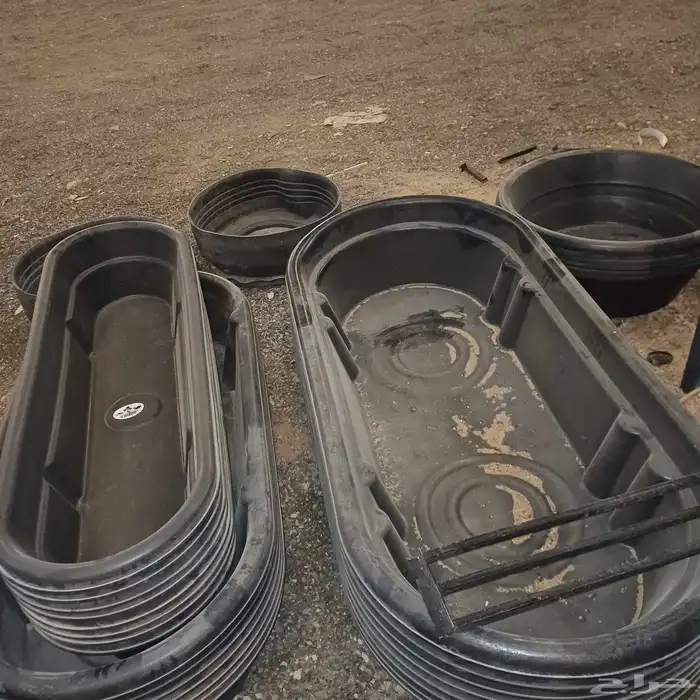 شبوك غنم شبوك ابل حواض علف مشارب ماء 6