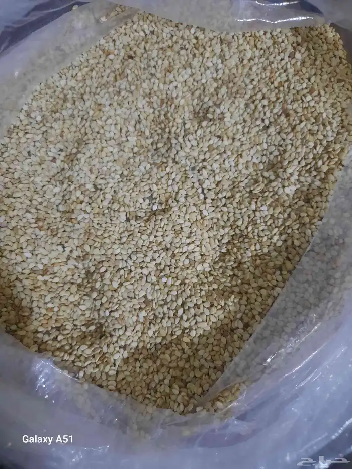 سمسم ابيض حلاوة سوداني متوفر لدينا كمية تجارية 0