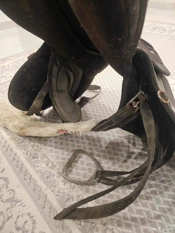 سرج ستيتوس مع الركابات 3