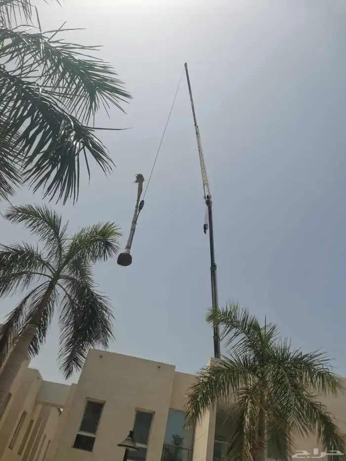 إيجار وانش كرين رافعا رقم جوال جدة 6