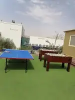 بلياردو تنس هوكي فرفيرة توصيل وتركيب 15