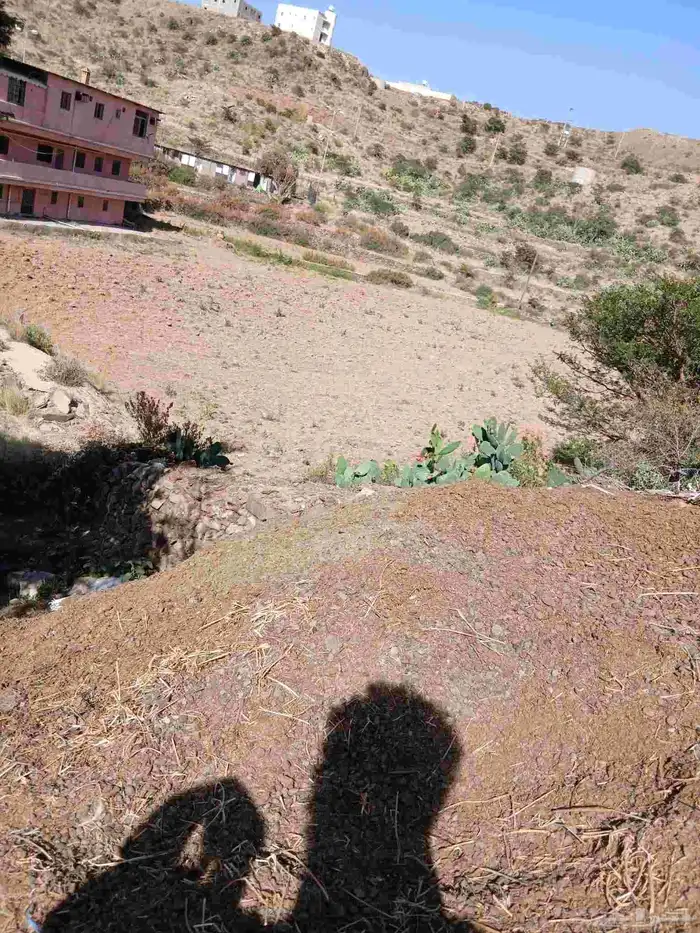سماد غنم نضيف كما موضح فى الصورة 2