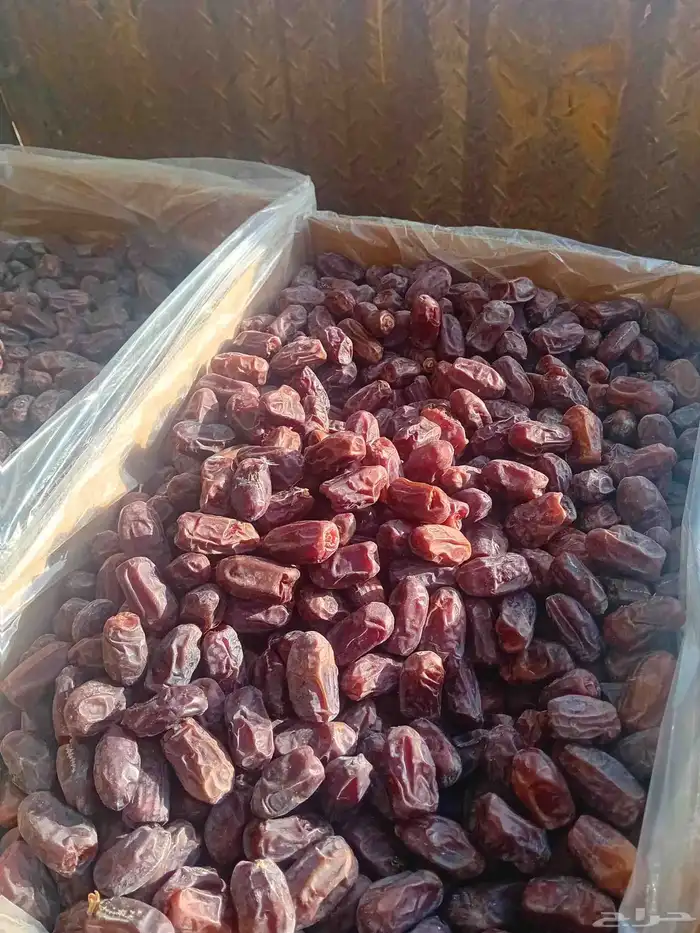250 كرتون خضري حبه طيبه وسط 0