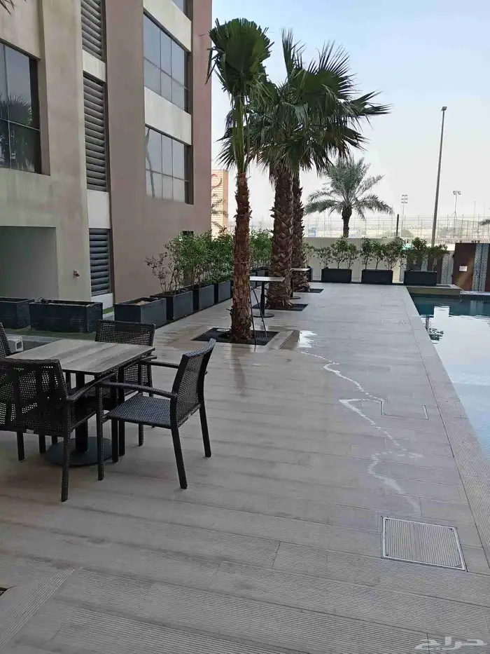 ابوياسين لبيع جميع انواع النخيل البلدي والواشنطن والفسيل 1