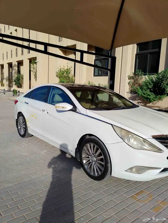 سوناتا (تم البيع) 0