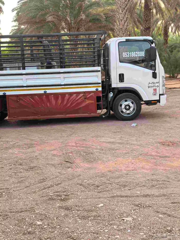 ديانا شبك 5متر طالع من العلا إلى تبوك فاضي 0