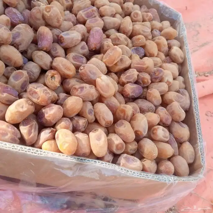 يوجد لدينا خلاص ساجر 0