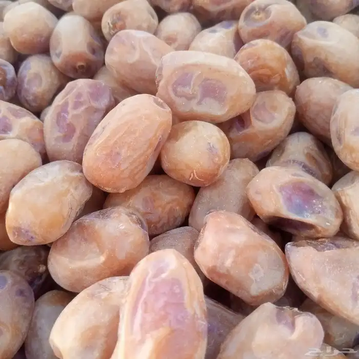 يوجد لدينا خلاص ساجر 2