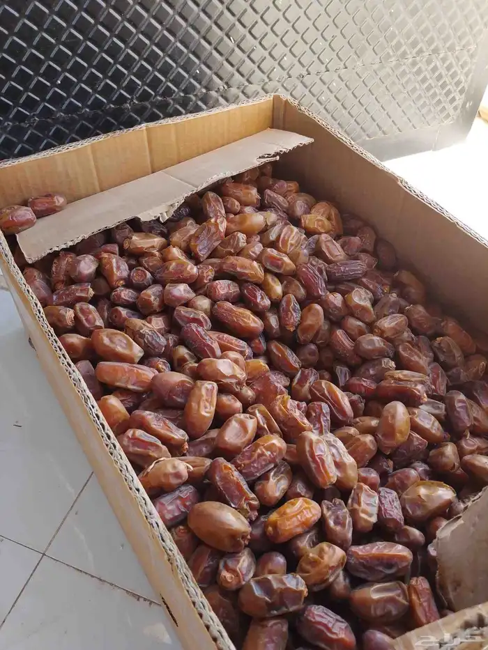علا السوم عندي كرتون اثنين 0