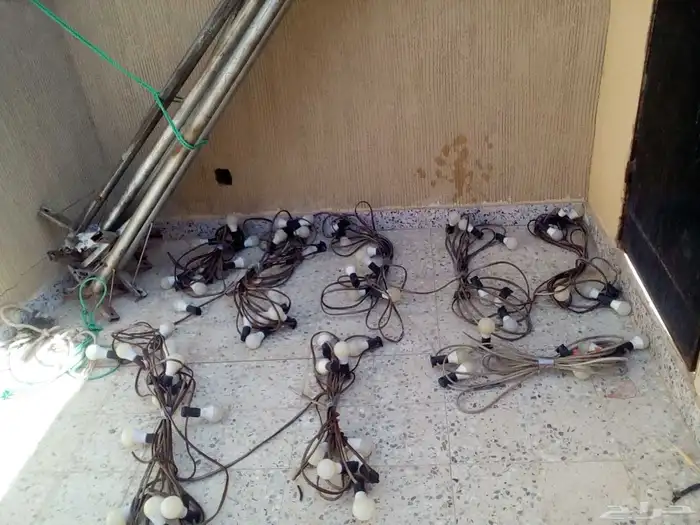 نشرهه مخيم 3