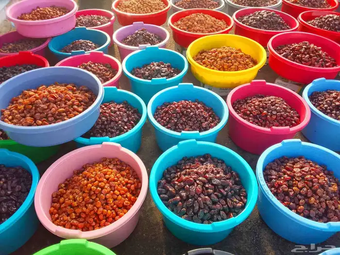 تمور حائل الفاخره 1