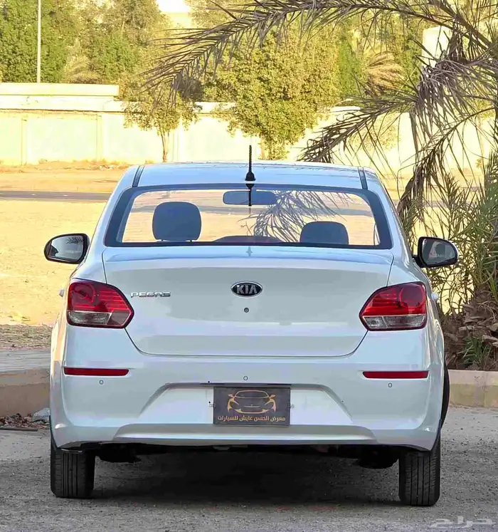 بيجاس 2020 إستاندر 4